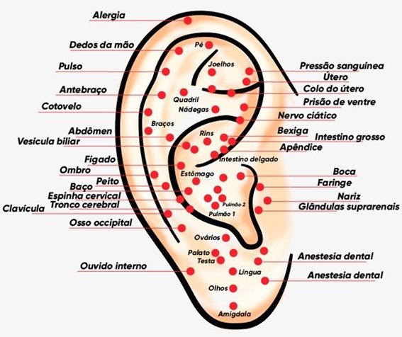 O Nutricionista - acupuntura auricular